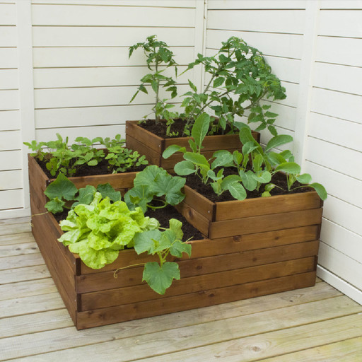 Tutto per l'Orto: Tutto per l'Orto - Losa Esterni da Vivere Tutto per l'Orto: Tutto per l'Orto - Losa Esterni da Vivere